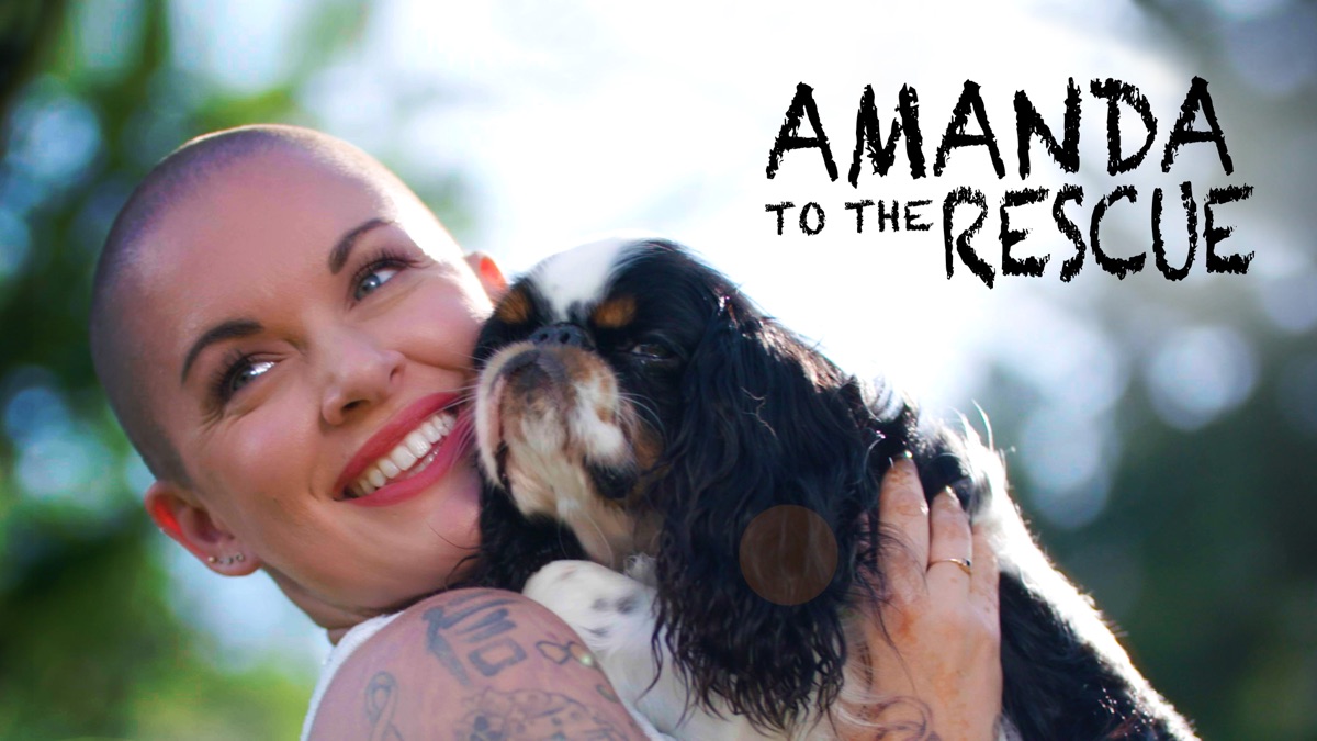 ‎Amanda al rescate - Apple TV