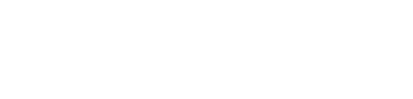 Bruce Springsteen: Letter To You