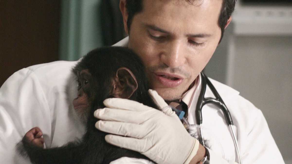 Lorilynne Shusta - Lola Aloha | LinkedIn, image size:1200x675