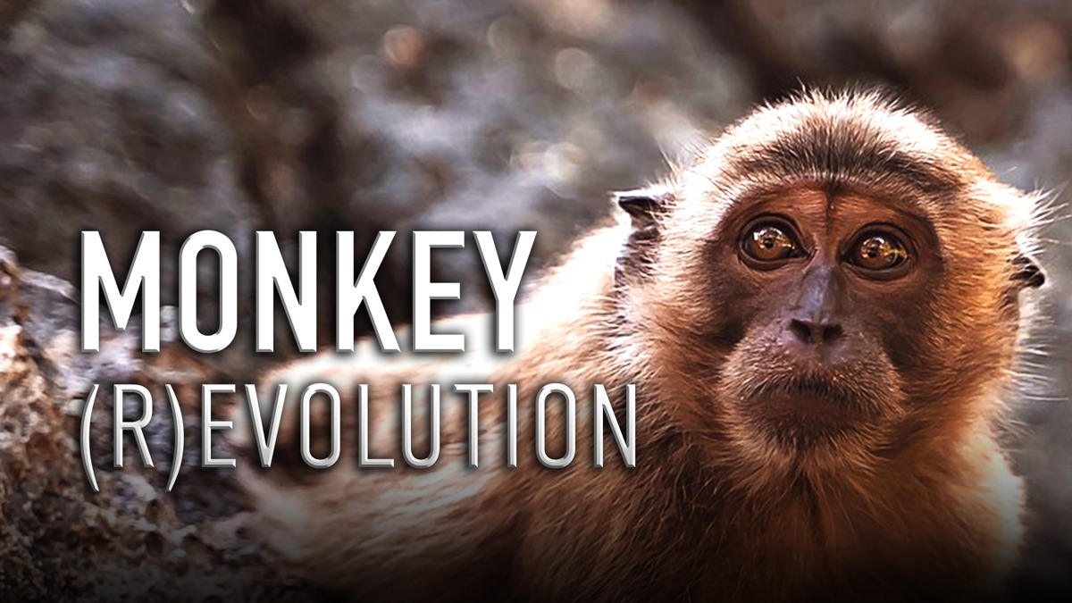 ‎Monkey REvolution - Apple TV