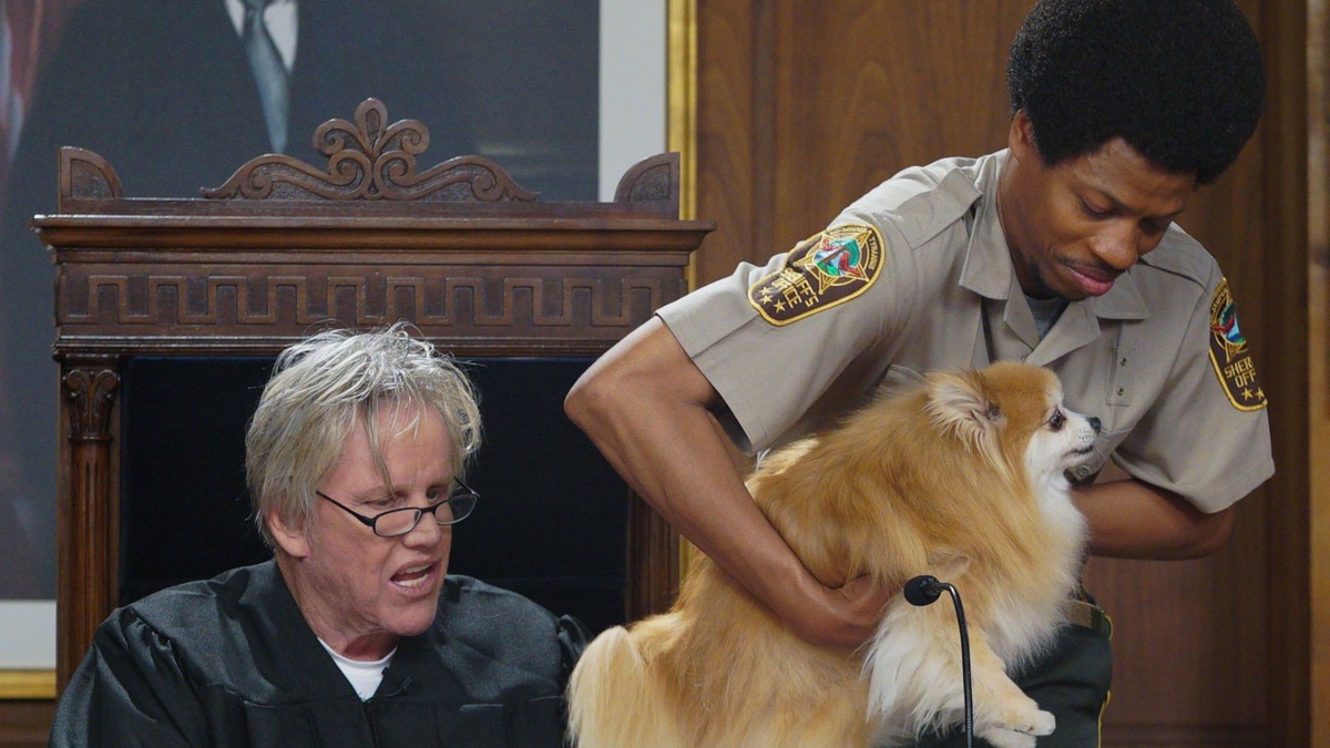 Gary Busey, Pet Judge - Apple TV (UK)