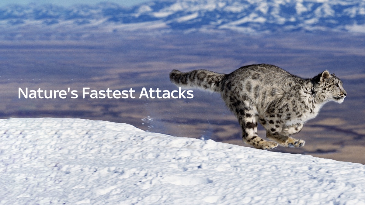 ‎Nature's Fast Attacks - Apple TV
