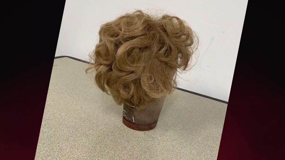 The Wig Shop Murder Prosecuting Evil With Kelly Siegler (Season 1