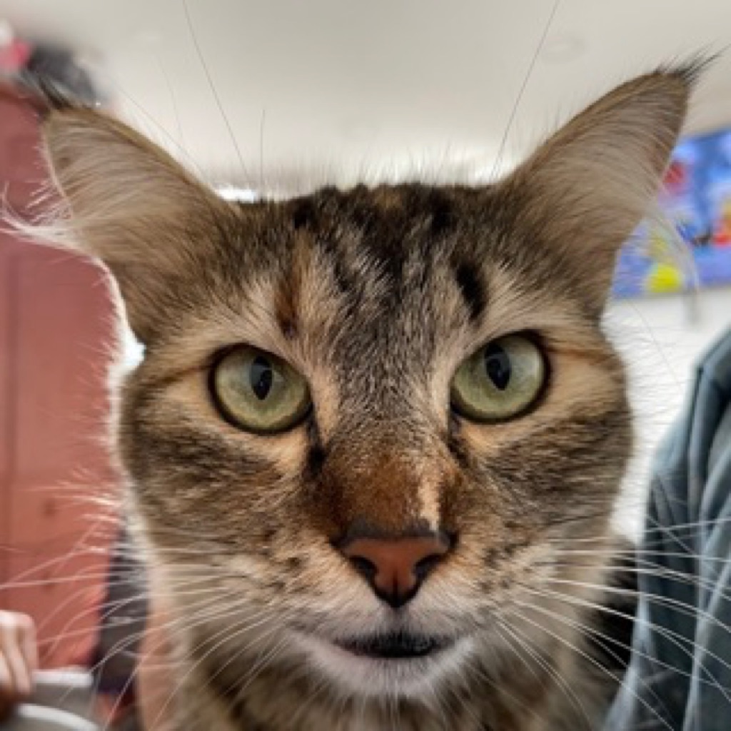 AppleMusic profile picture for @fandi