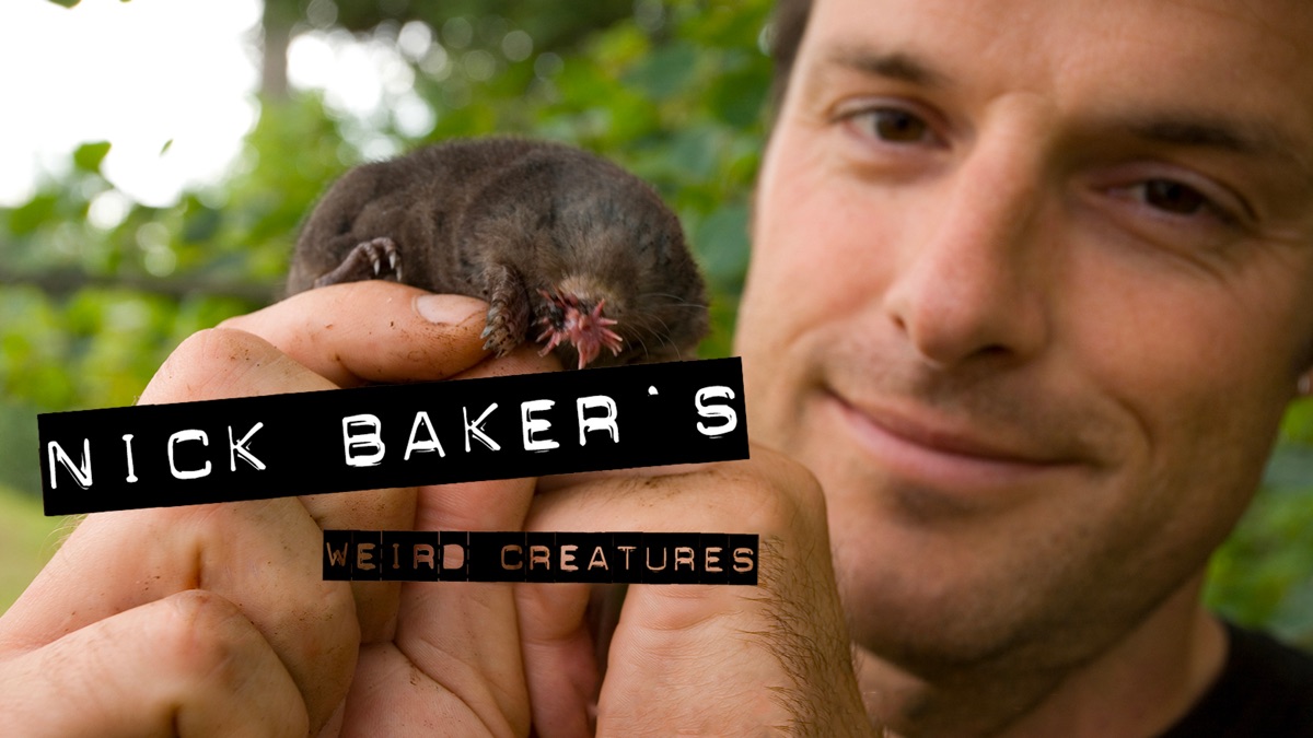 ‎Nick Baker's Weird Creatures - Apple TV