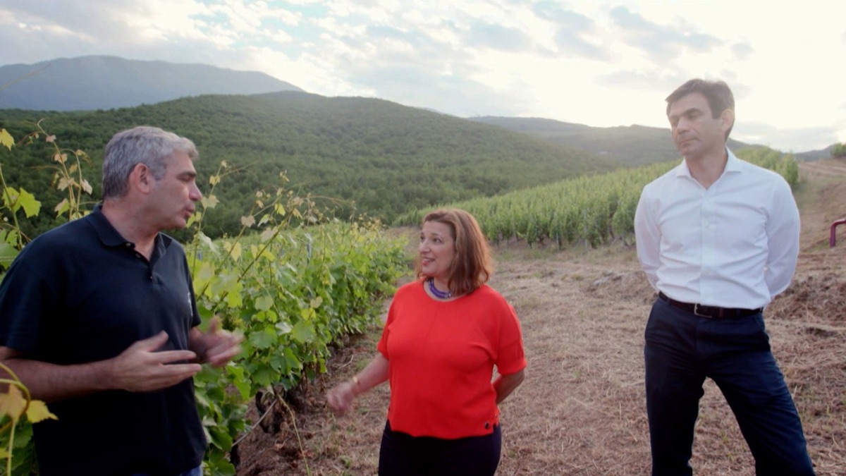 A Bite of Greek Red Wine My Greek Table With Diane Kochilas (Season 1