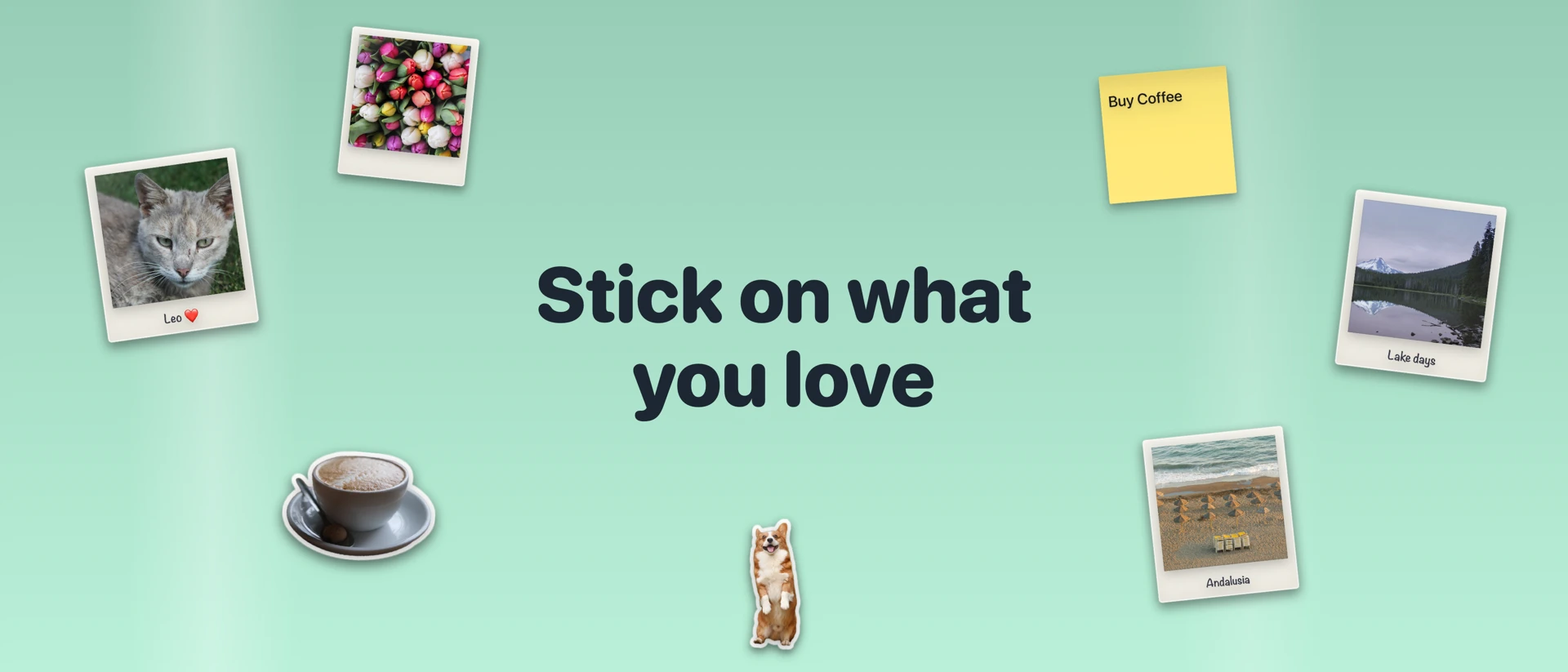 Fridge: Photo Magnets product page header