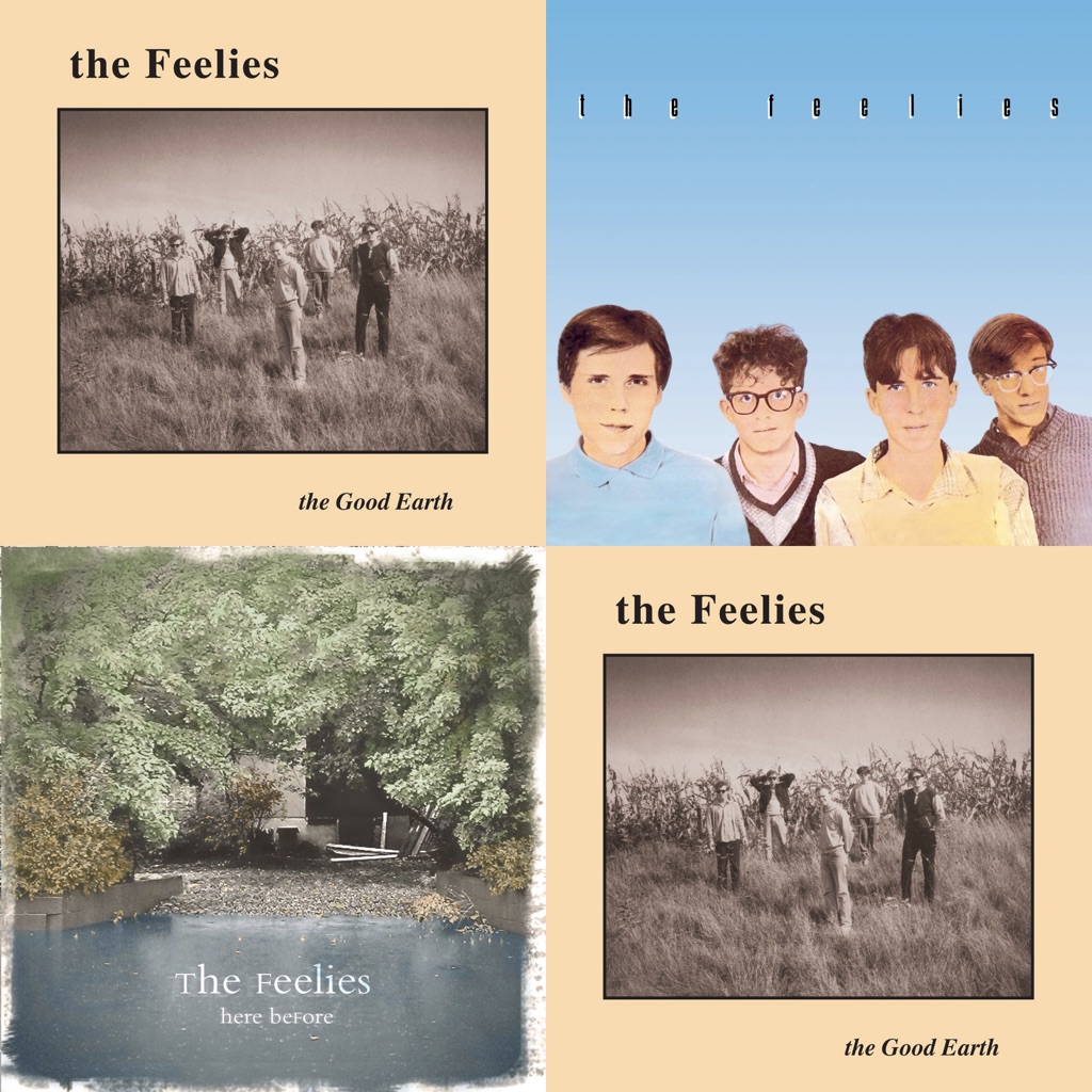 The Feelies Essentials