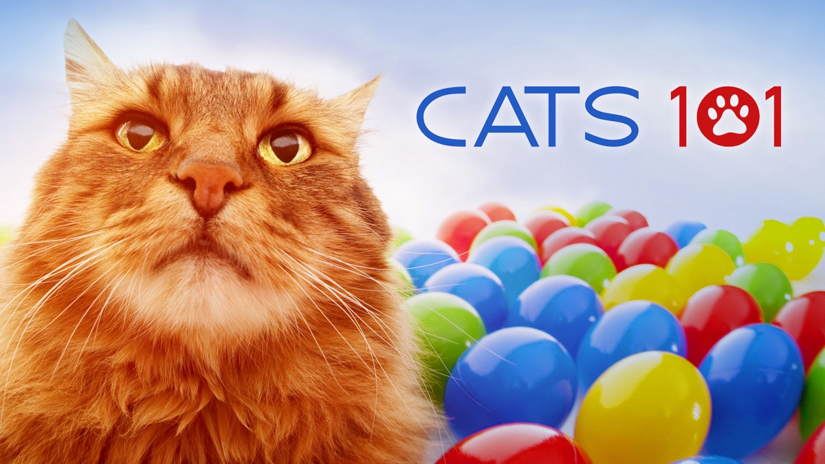 ‎Cats 101 - Apple TV