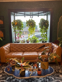 Poison Ivy Hair Lounge