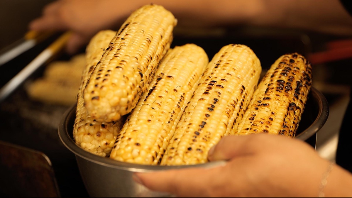 Feeding The Future Saving Corn From Rising Temperatures Hungry