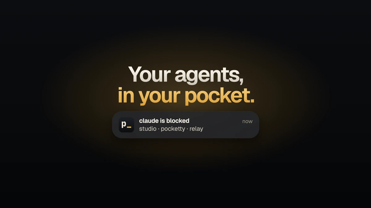 pocketty App Store product page header