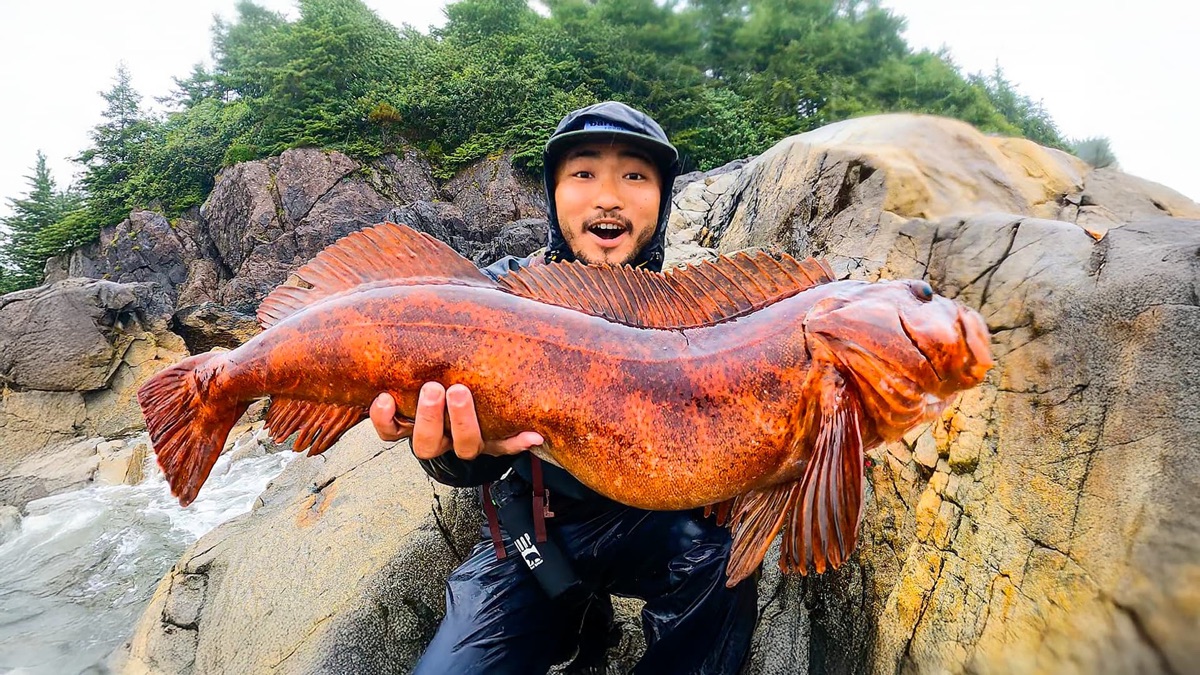 ‎Catching and Cooking the Biggest Lingcod Ever! – Outdoor Chef Life ...