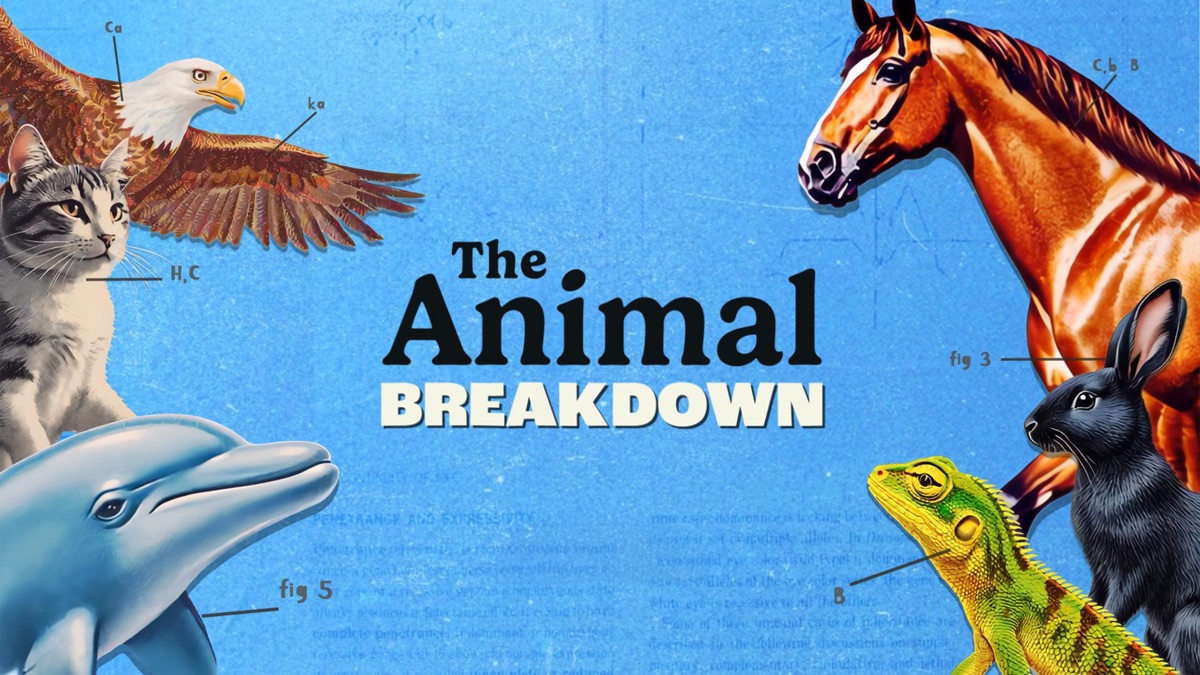 ‎The Animal Breakdown - Apple TV