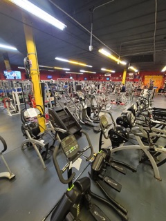 Coliseum gym 2.0
