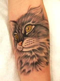 Sleepy Hollow Tattoo & Design tattoo studio in Milford