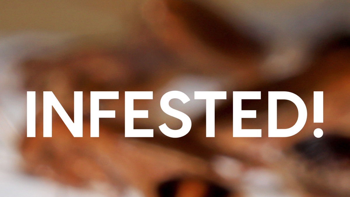 ‎Infested! - Apple TV
