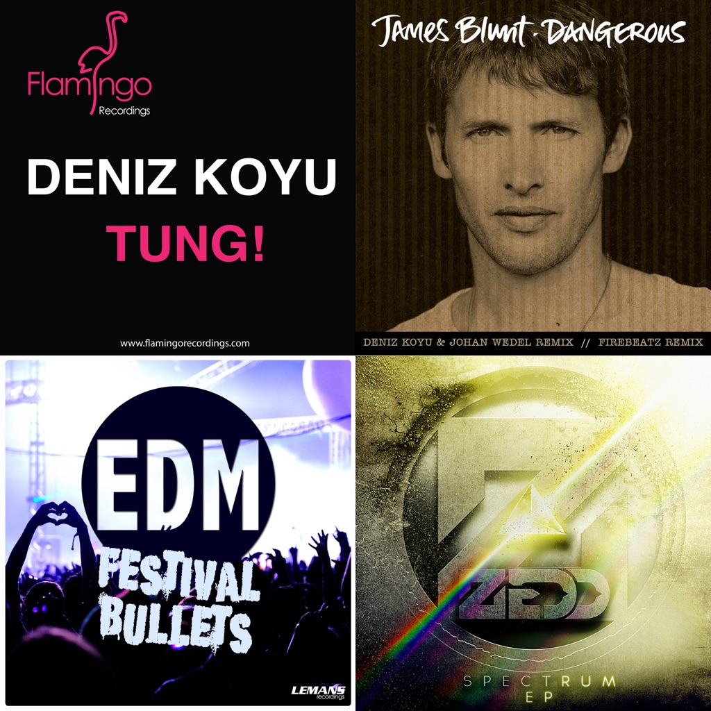 Deniz Koyu Essentials