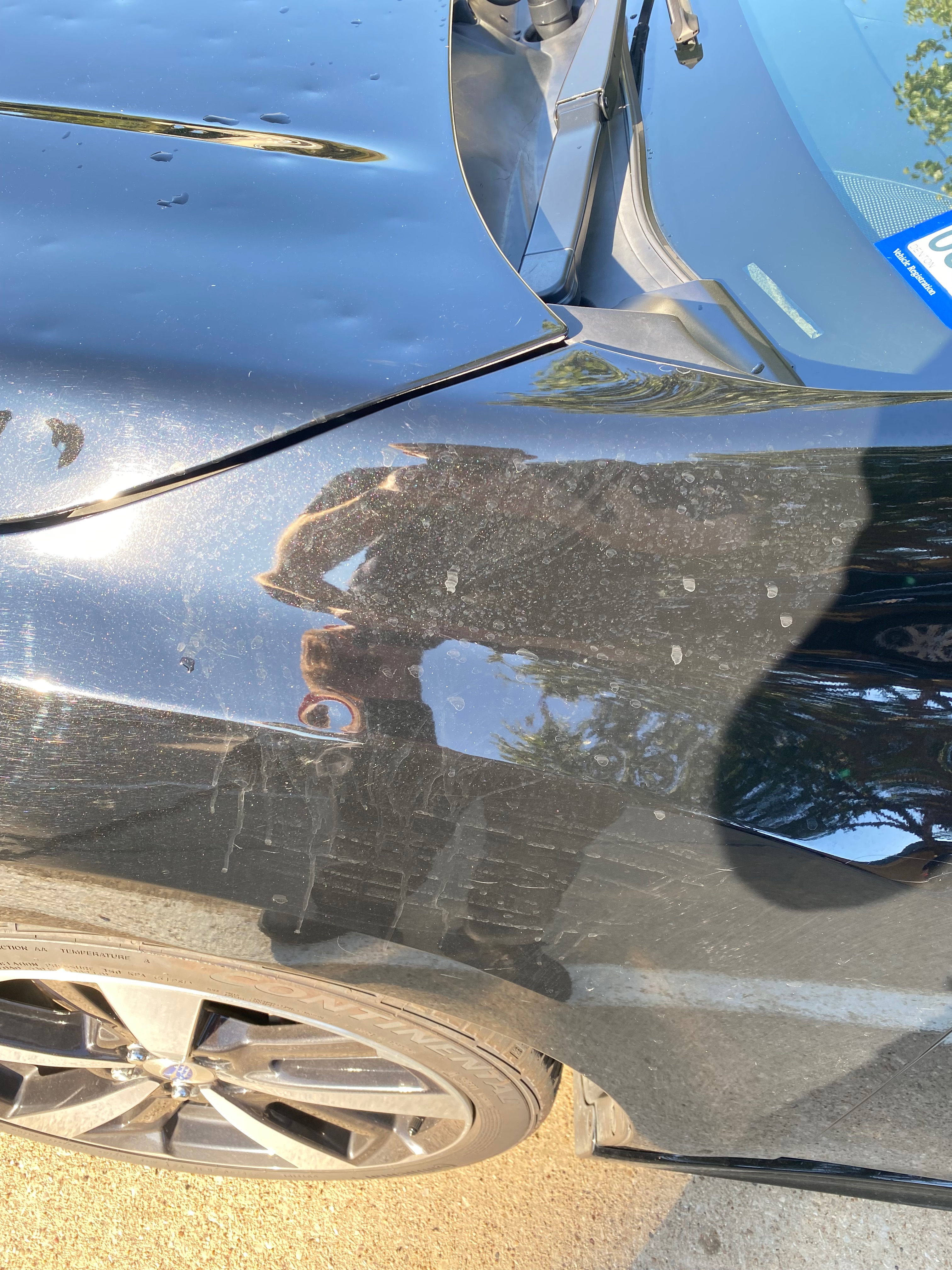 Scrub-A-Dub Car Wash 2