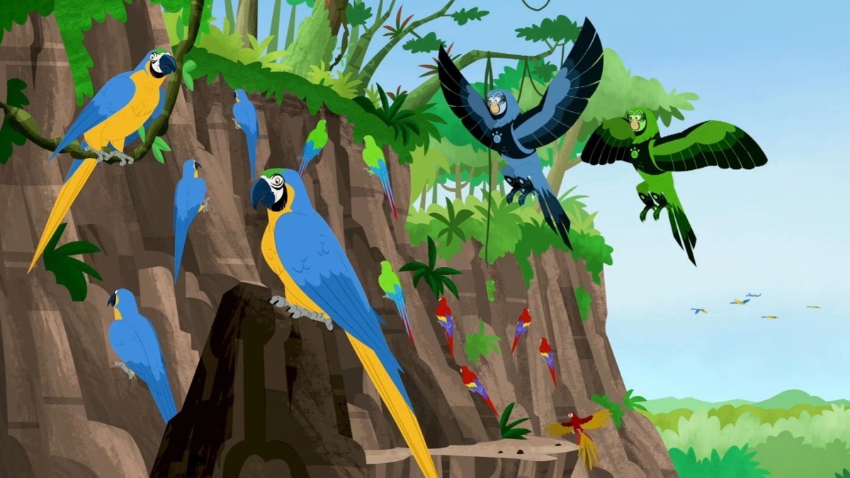 Amazin' Amazon Adventure Part 2 Wild Kratts (Series 6, Episode 11