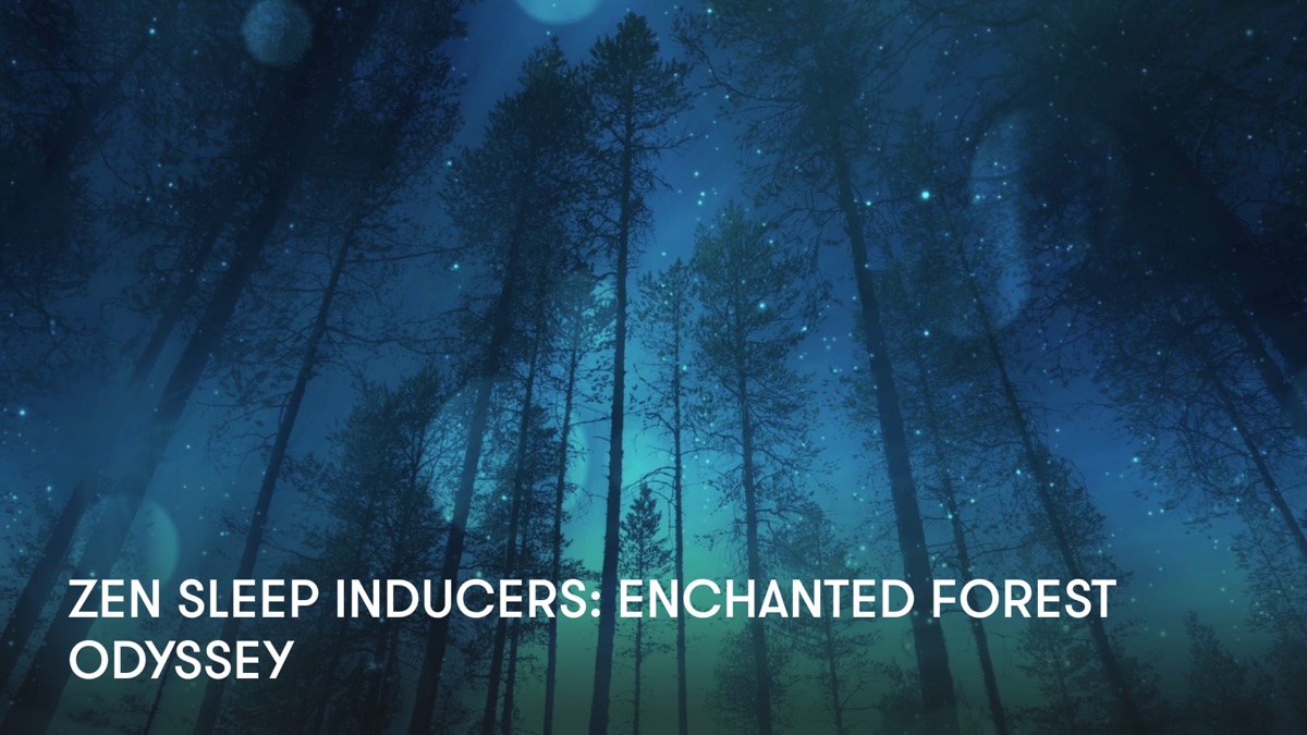 ‎Zen Sleep Inducers: Enchanted Forest Odyssey - Apple TV