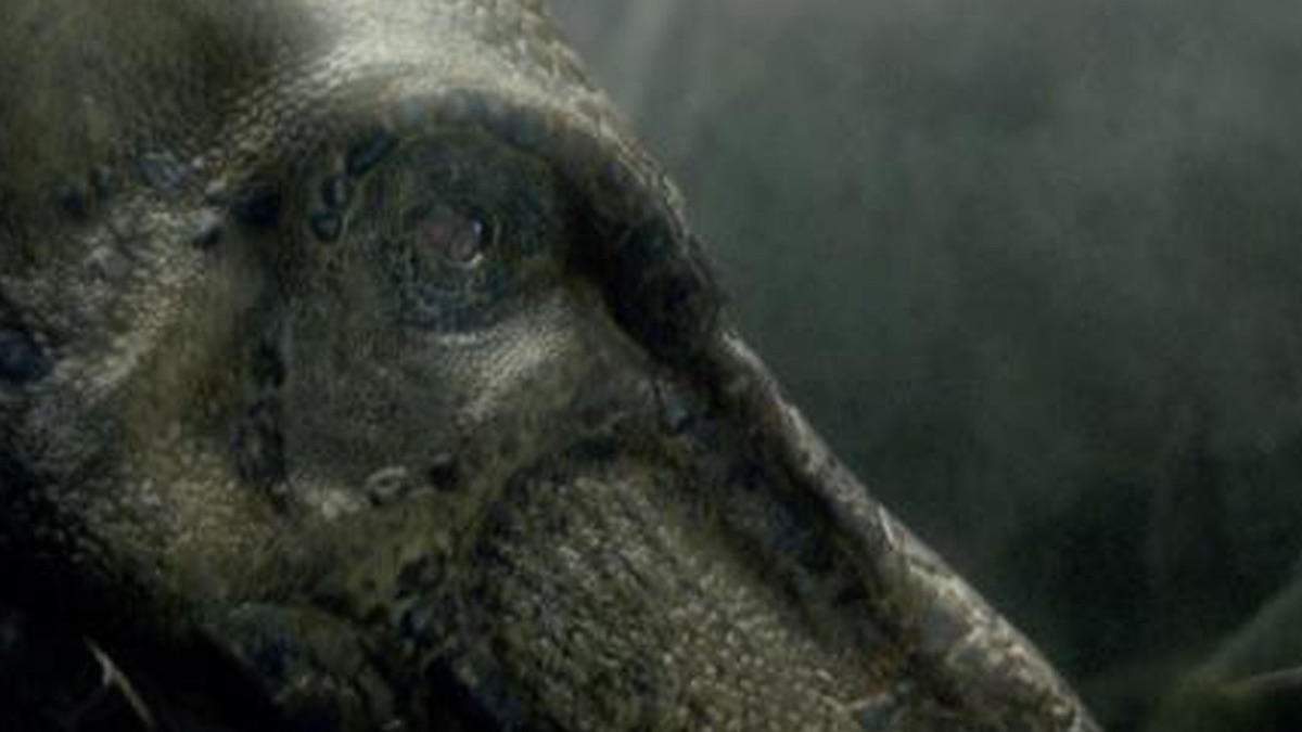 ‎T-Rex Rules - Curious Minds: Dinosaurs (Series 1, Episode 4) - Apple ...