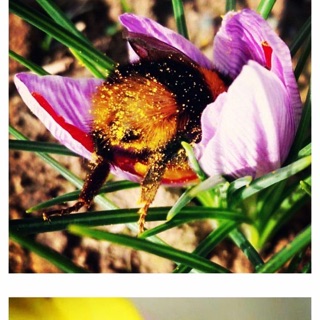 Buddha Blue Tattoo photo 10