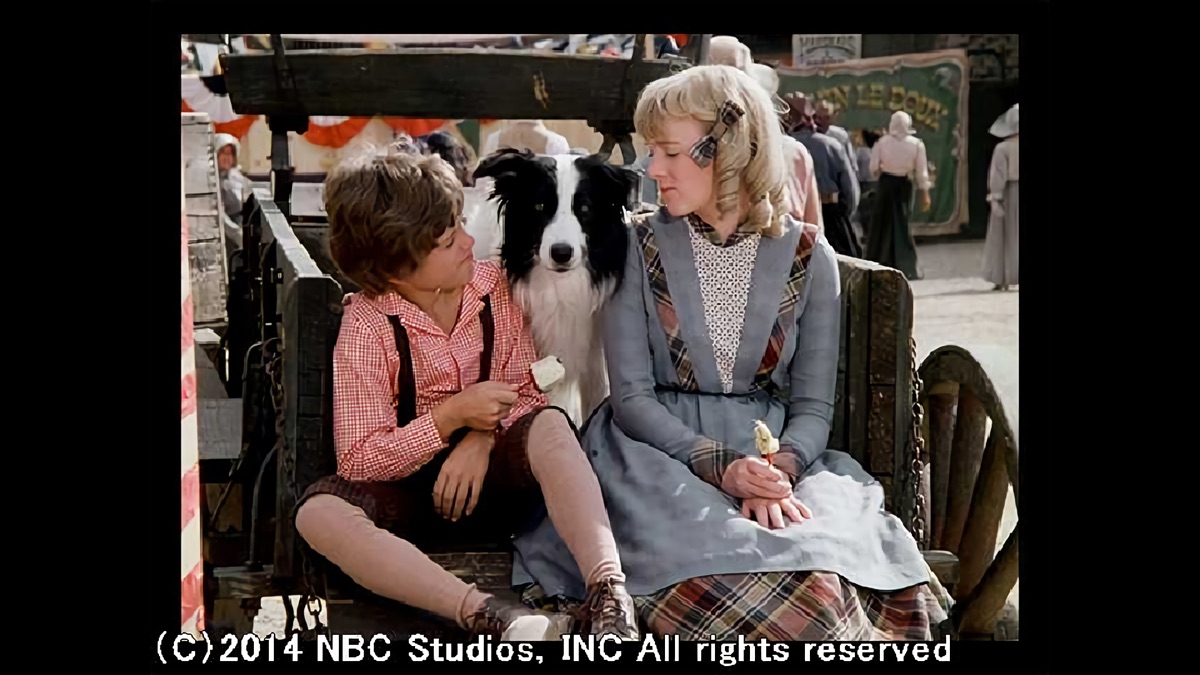 Meet Me at the Fair Little House on the Prairie (Season 4, Episode 11