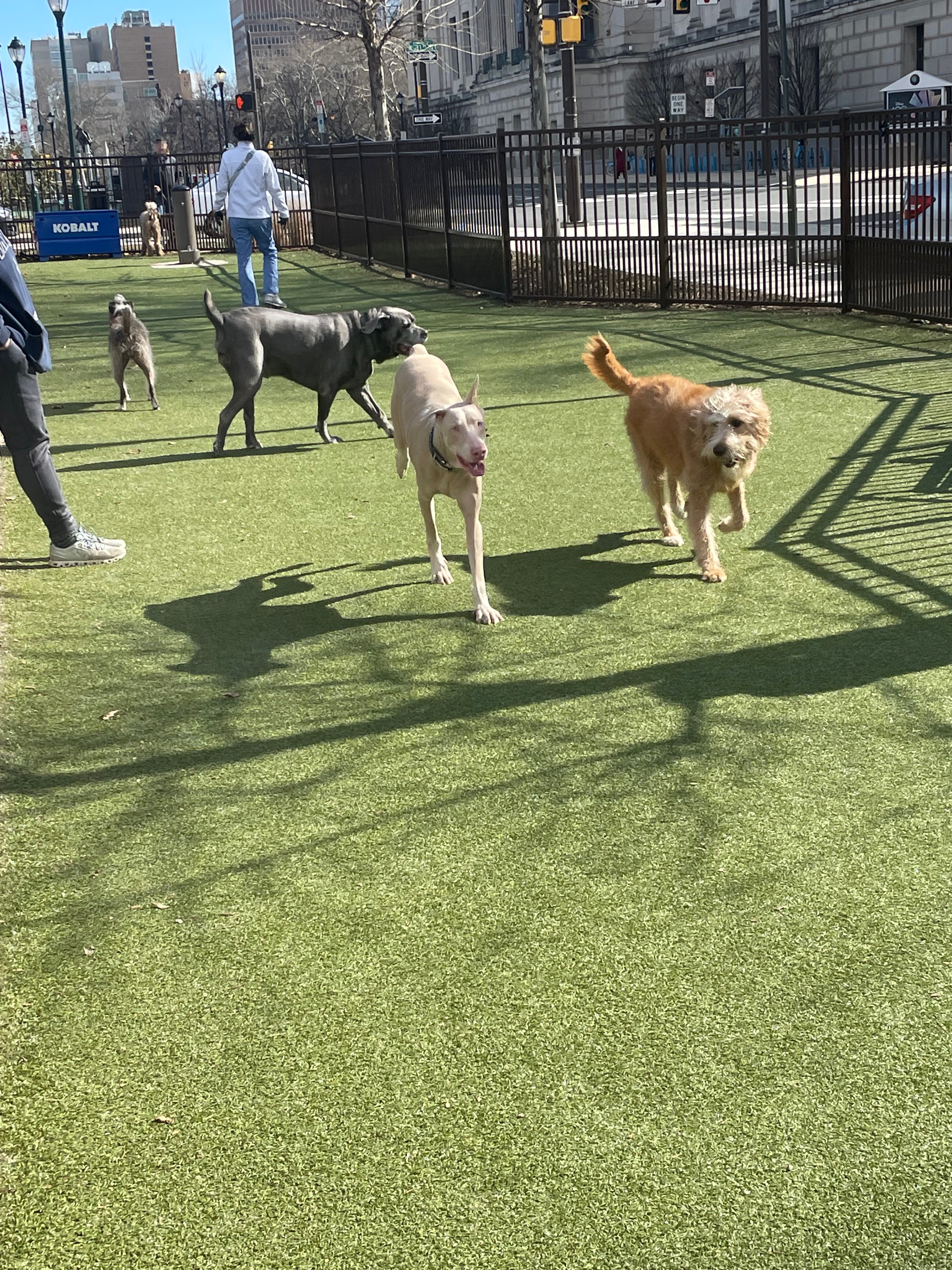 Rob Stuart Memorial Dog Park