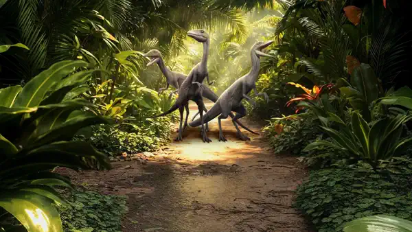 Kick off a New Season!