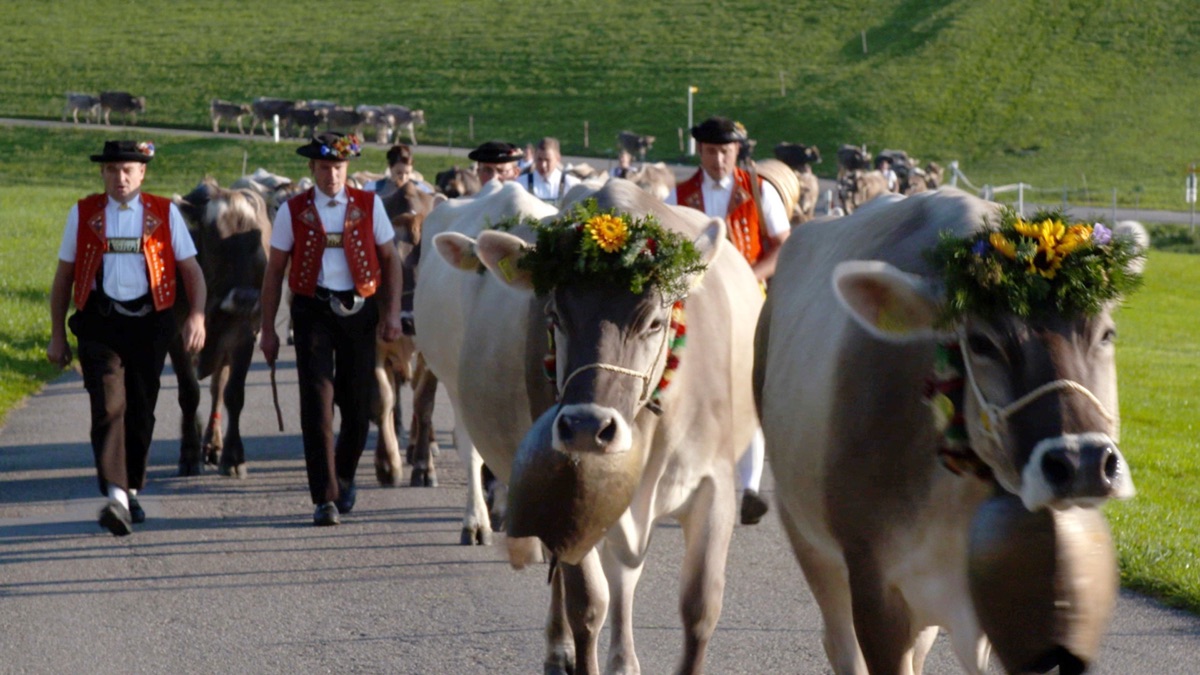 ‎The French-Speaking Romandy – Grand Tour de Suisse (Season 1, Episode ...