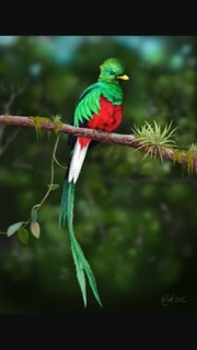 House Of Needles photo 7