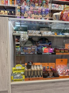 elf bar vape uk Tobacco Connection main image 0