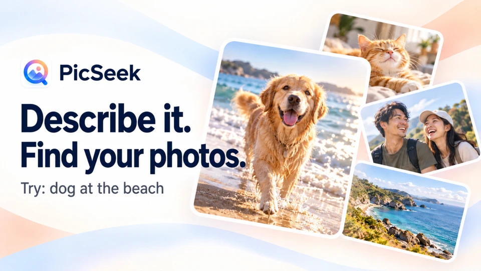 PicSeek: Photo Search App Store search result
