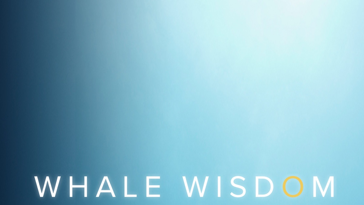 Whale Wisdom - Apple TV