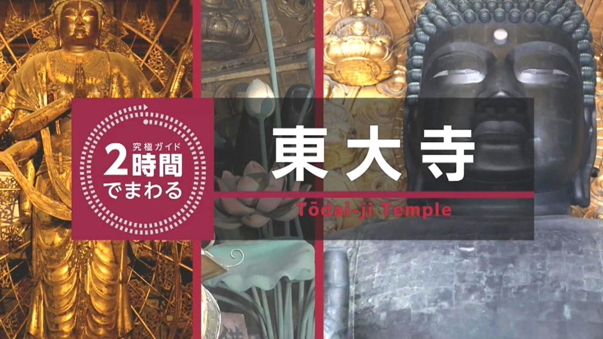 2時間でまわる東大寺・究極ガイド 2時間でまわる☆☆☆（シーズン1、第2話） - Apple TV (日本)