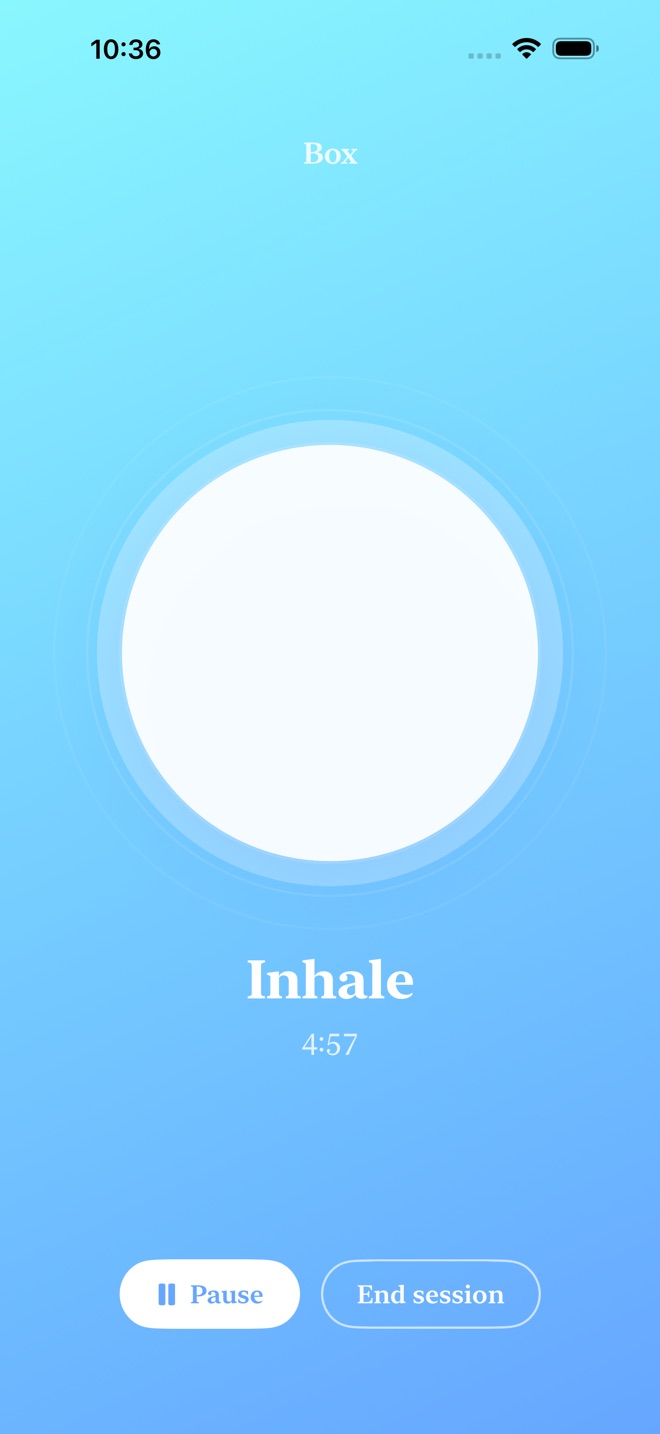 BreathLoop: Breathing screenshot 2