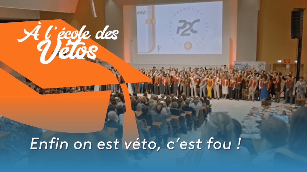 « Enfin on est véto, c’est fou ! » À l'école des vétos (saison 3 — free download