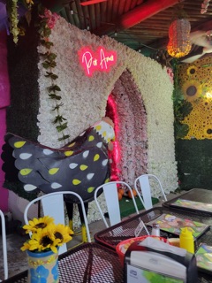 El Pueblito de Frida Montrose, Houston