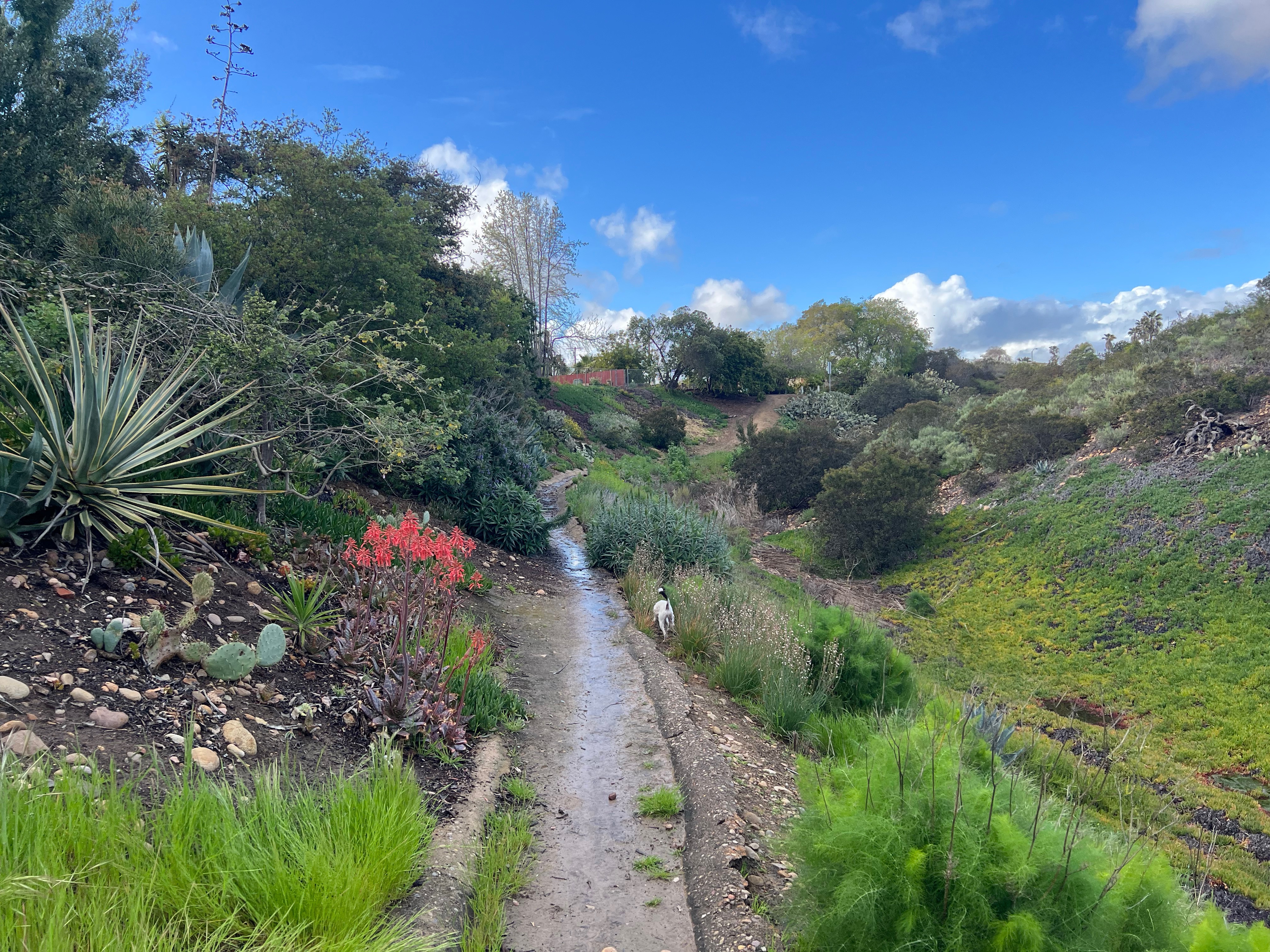 Sandrock Canyon Open Space Park