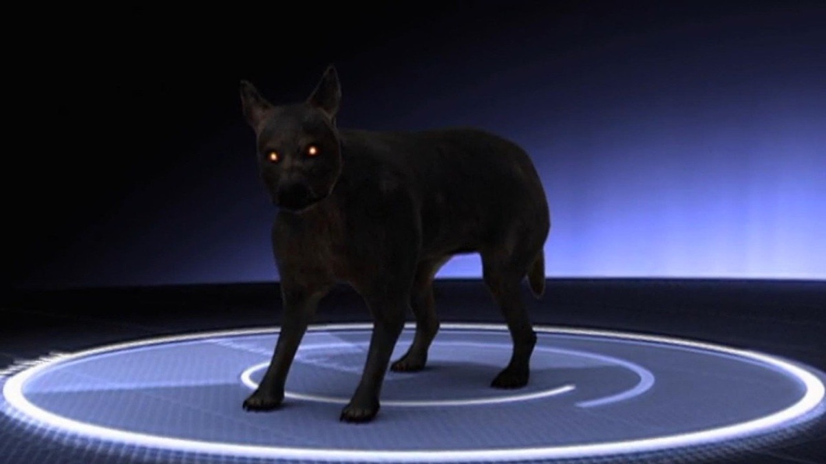 The Real Cujo - MonsterQuest (Season 3, Episode 20) - Apple TV