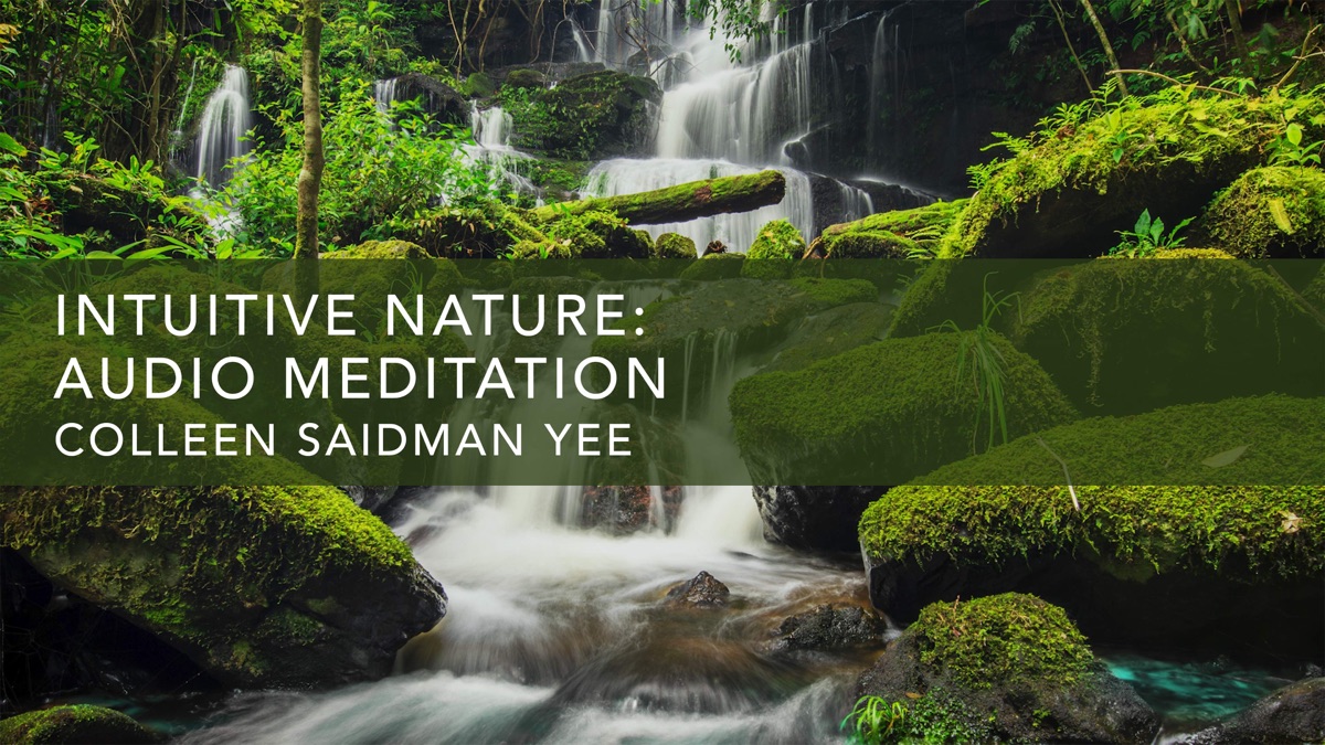 Intuitive Nature: Audio Meditation - Apple TV
