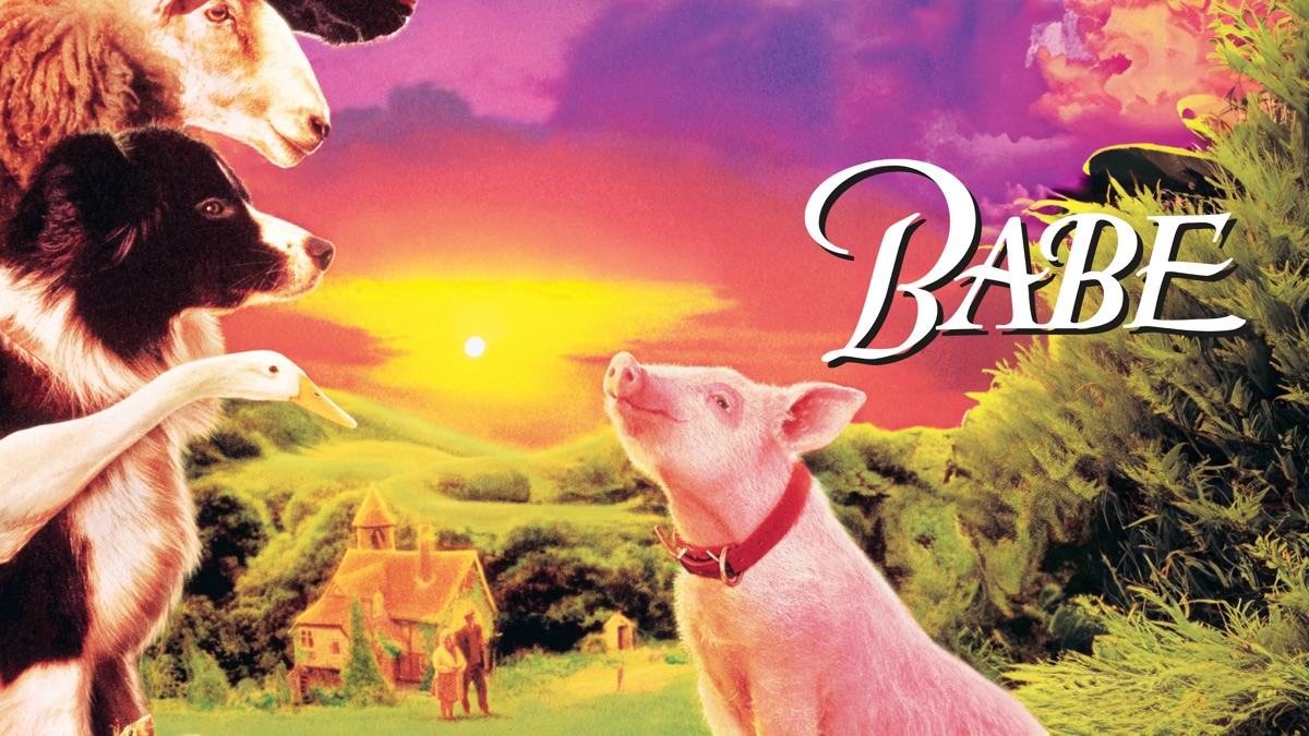 ‎Babe, le cochon devenu berger - Apple TV