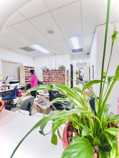 Chien & Li Dental Clinic