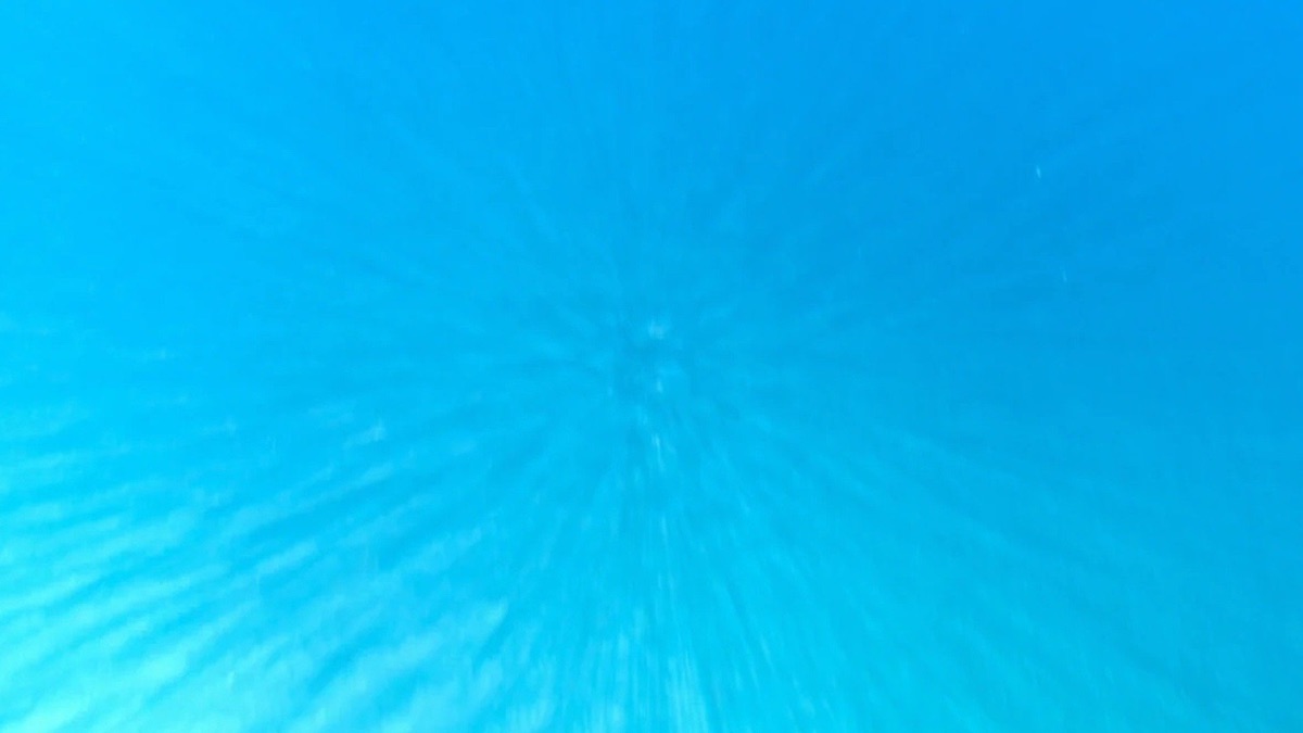 Great Barrier Reef - Fearless Planet (Series 1, Episode 5) - Apple TV (UK)
