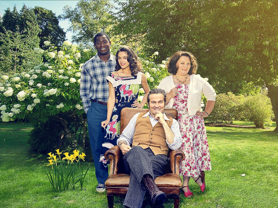 The Larkins - Apple TV (CA)