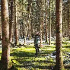 Escucha a First Snow of The Year, mira videos musicales, lee su biografía, consulta las fechas de las gira y más.