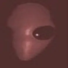 Listen to Psychic Alien, watch music videos, read bio, see tour dates & more!