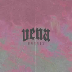 收听 Vena Morris、观看音乐视频、阅读小传、查看巡演日期等 ！