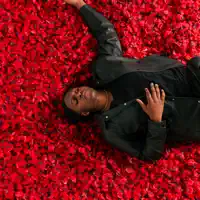 收听 undefined、观看音乐视频、阅读小传、查看巡演日期等 ！